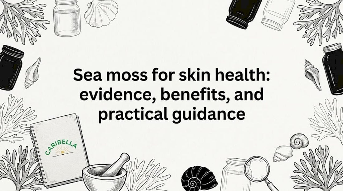 Hand-drawn sea moss illustration framing article title