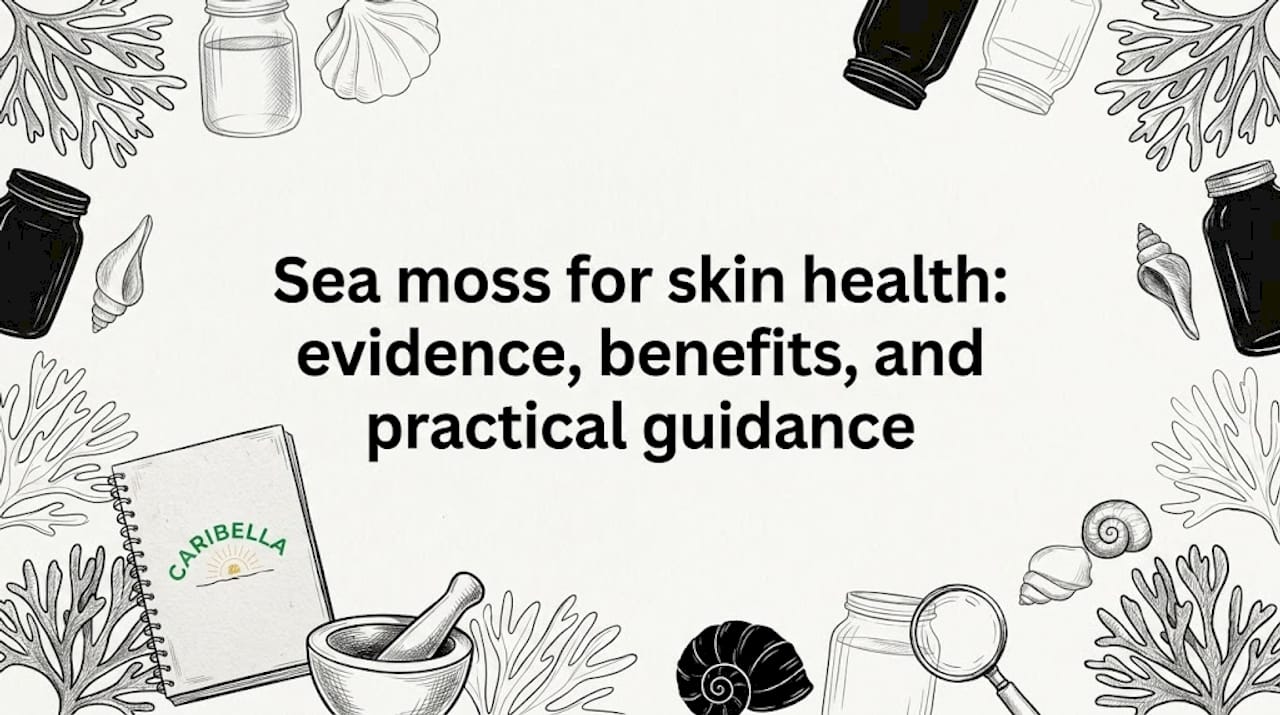 Hand-drawn sea moss illustration framing article title