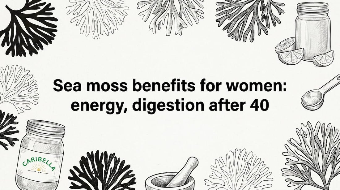 Hand-drawn botanical frame for sea moss article title