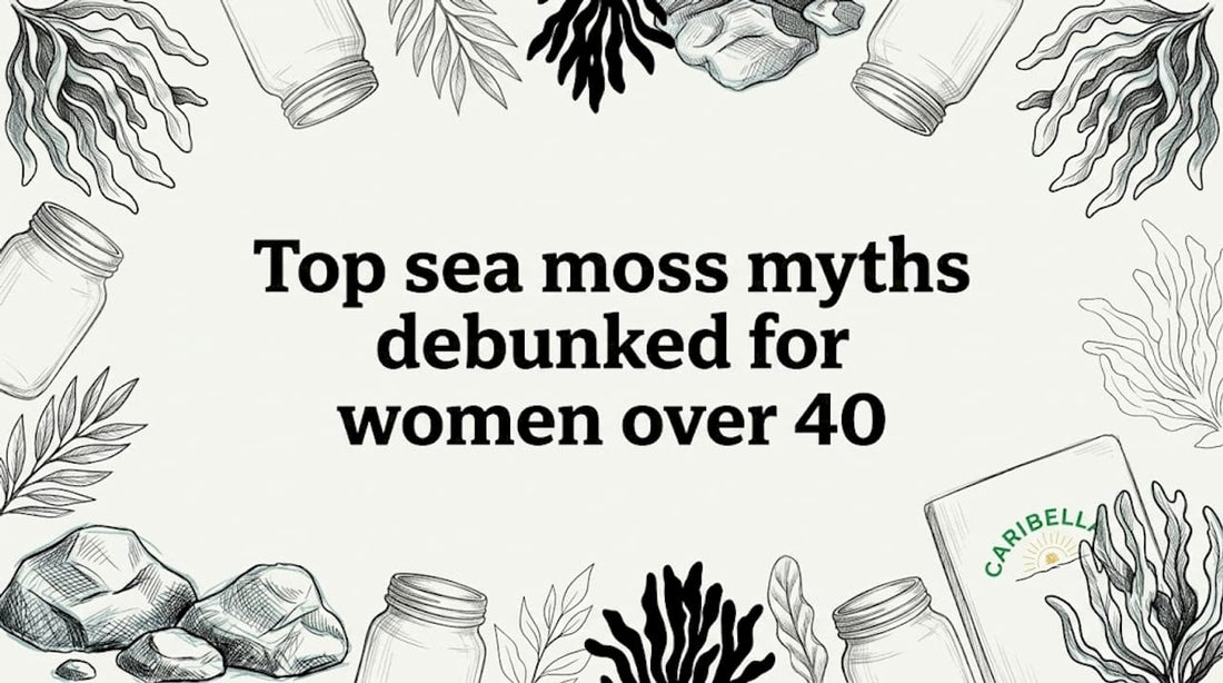 Hand-drawn sea moss title card illustration