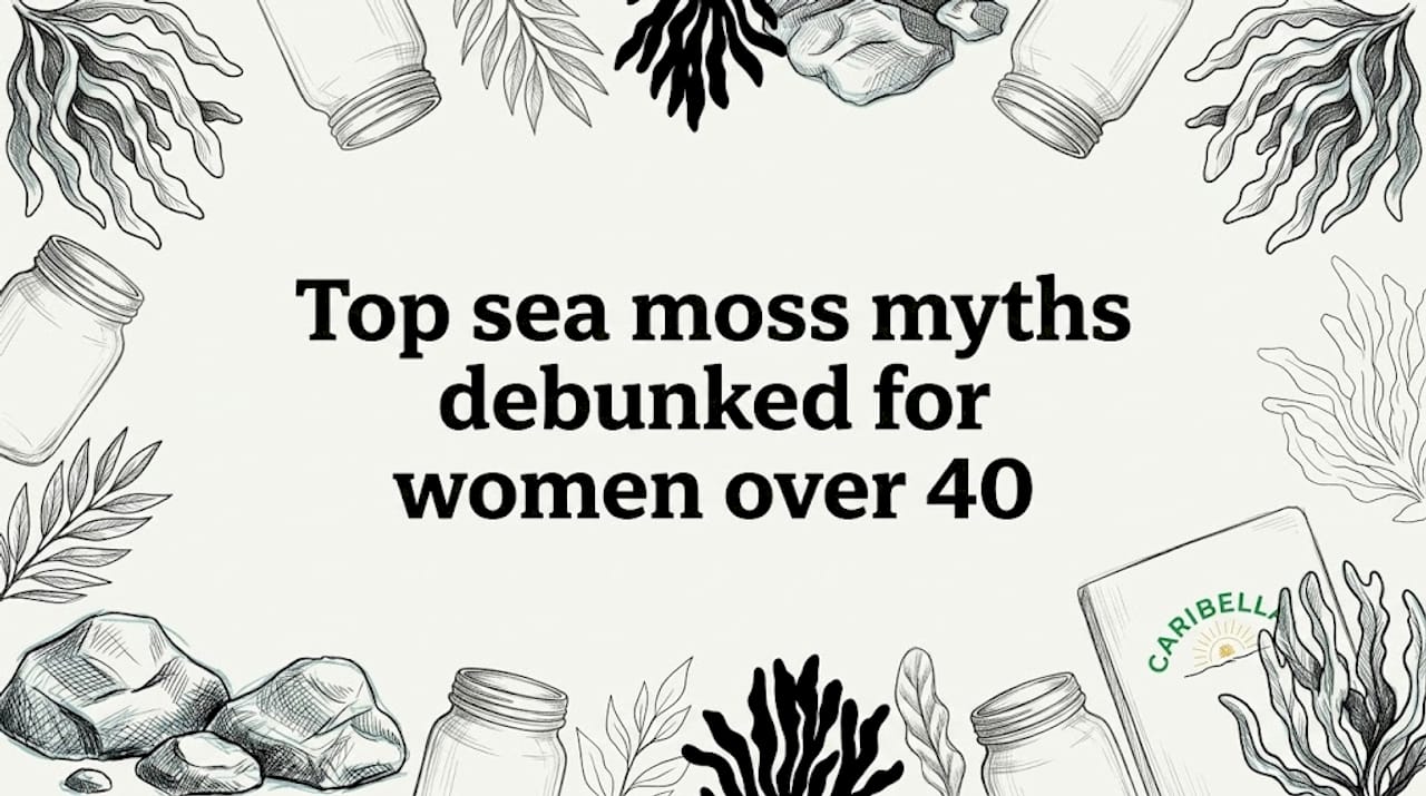 Hand-drawn sea moss title card illustration