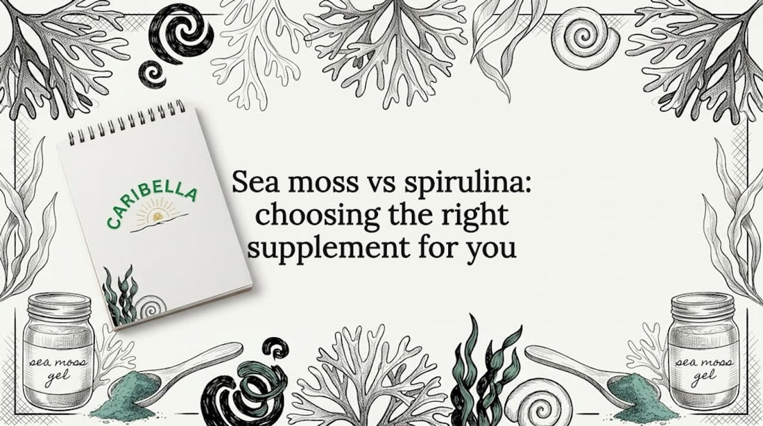 Sea moss and spirulina sketch frame around title area