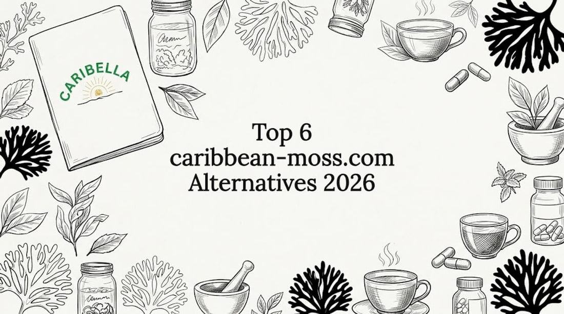Hand-drawn Caribbean sea moss objects frame title
