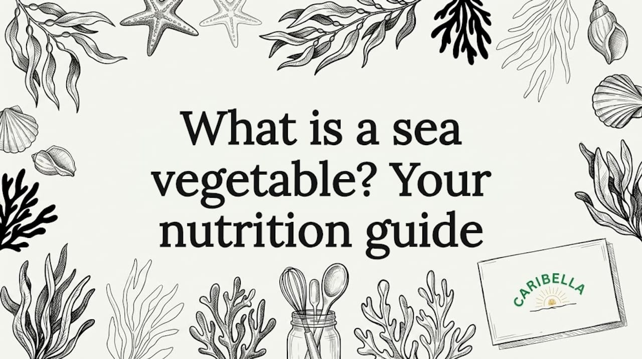 Hand-drawn sea vegetable title card illustration