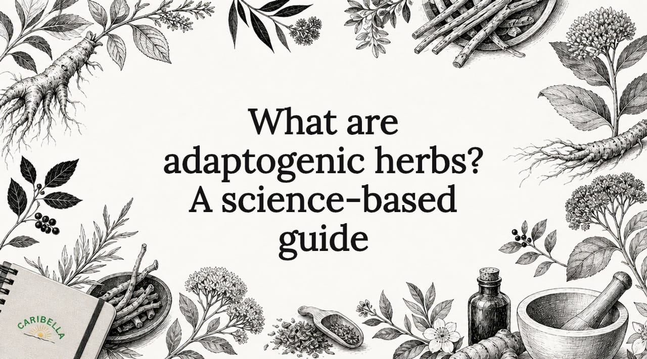 Decorative title card botanical illustration