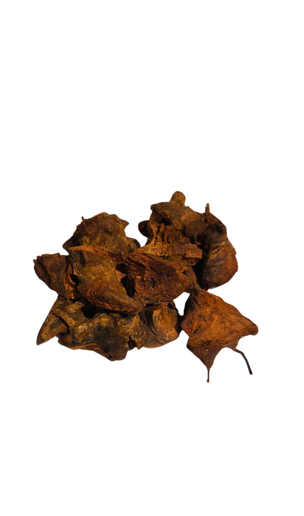 Chaney Root (Smilax balbisiana)
100% Natural Wildcrafted Jamaican Dried Root - 100g