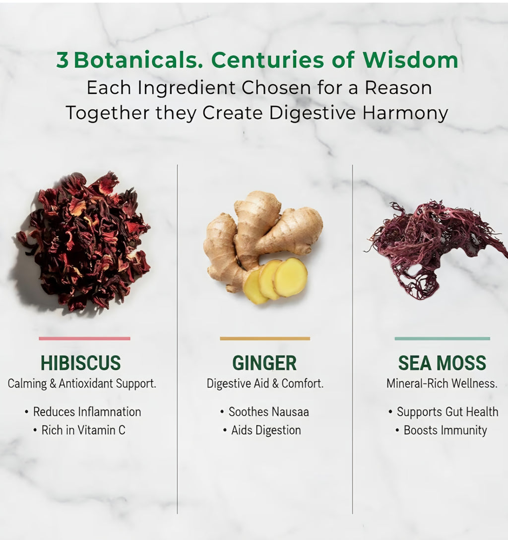 Digestive Tea – Sea Moss, Hibiscus & Ginger - 100g         Includes 30 Empty Tea Bags