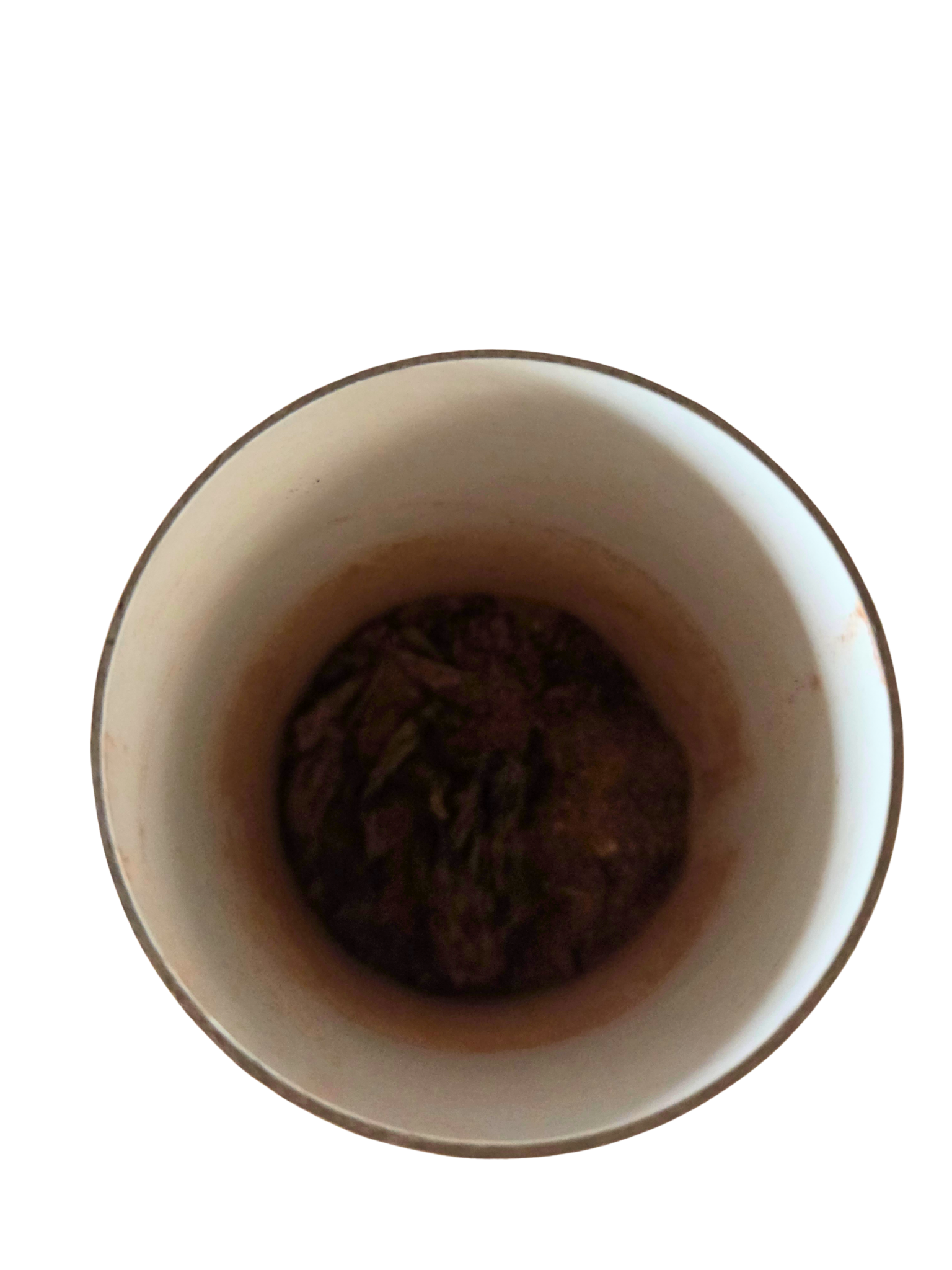 Digestive Tea – Sea Moss, Hibiscus & Ginger - 50g         Includes 15 Empty Tea Bags